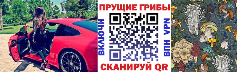 Псилоцибиновые грибы Psilocybe МЕГА маркетплейс Каменск-Шахтинский цены
